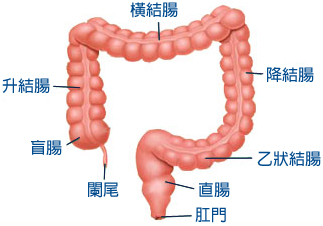 免麻醉无痛肠镜